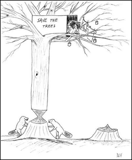Save The Trees