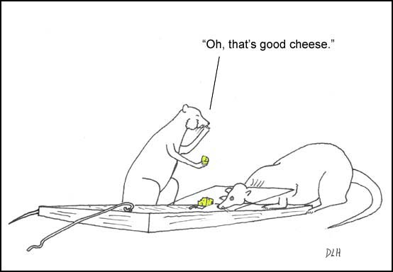 Free Cheese