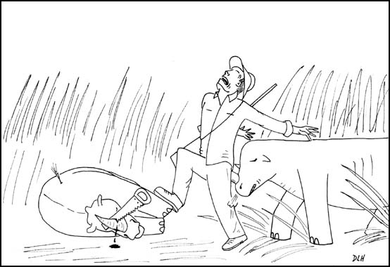 Rhino Justice