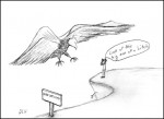 birdwatcher