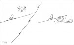 clumsybird