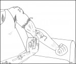 feedingthemouse