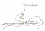 freecheese1